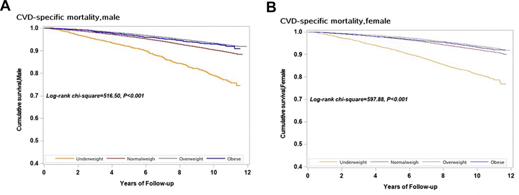 Survival curves with regard to different categories of BMI in both sexes for CVD specific mortality. (A) Male; (B) Female.