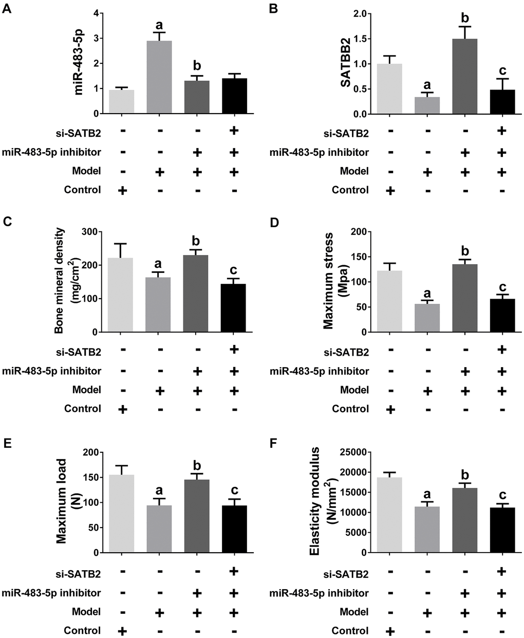 miR-483-5p-SATB2 axis regulated the progress of osteoporosis in OVX rats. (A) qRT-PCR results for miR-483-5p expression. (B) qRT-PCR results for SATB2 expression. (C) The bone mineral density (BMD) of femurs. (D) The maximum bending stress of femurs. (E) The maximum load of femurs. (F) The elasticity modulus of femurs. Data were presented as mean ± SD. a p b p c p 