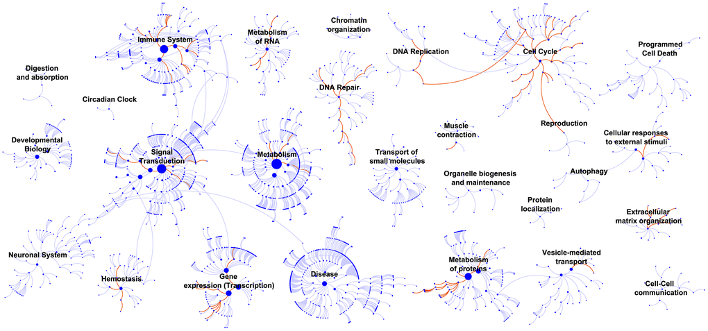 GSEA identified biological processes that correlated with the 10-lncRNA signature. Enriched canonical pathways (FDR 