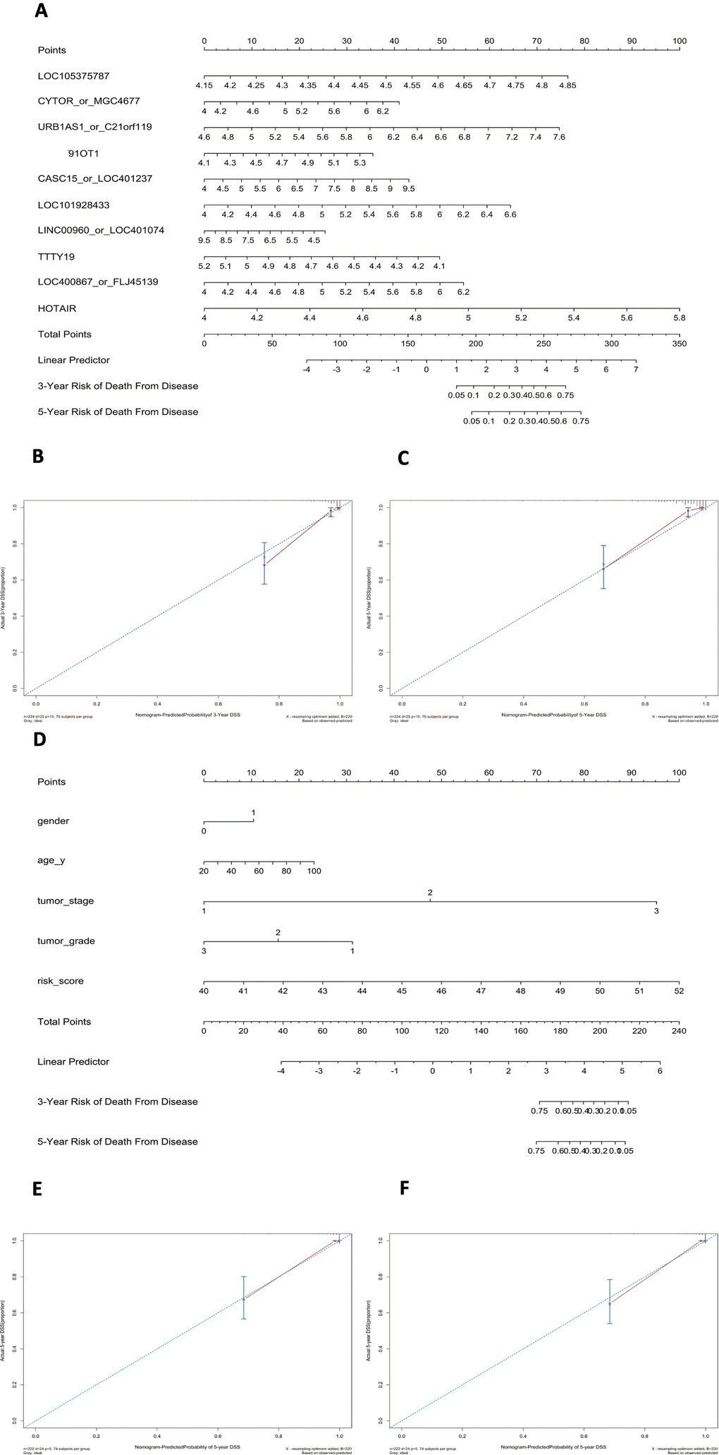 Nomograms to predict 3- or 5-year DSS in the GSE32894 dataset. Instructions: locate each characteristic on the corresponding variable axis and draw a vertical line upwards to the points axis to determine the specific point value. Repeat this process. Sum the total points value and locate it on the total points axis. Draw a vertical line down to the 3- or 5-year DSS to obtain the survival probability for a specific bladder cancer patient. (A), Nomogram for predicting 3- or 5-year DSS in GSE32894 based on the 10-lncRNA signature. (B), Calibration curve for the prediction of 3-year DSS by the nomogram in (A). (C), Calibration curve for the prediction of 5-year DSS by the nomogram in (A). (D), Nomogram for predicting 3- or 5-year DSS in GSE32894 based on the 10-lncRNA signature combined with clinical risk factors. (E), Calibration curve for the prediction of 3-year DSS by the nomogram in (D). (F), Calibration curve for the prediction of 5-year DSS by the nomogram in (D).