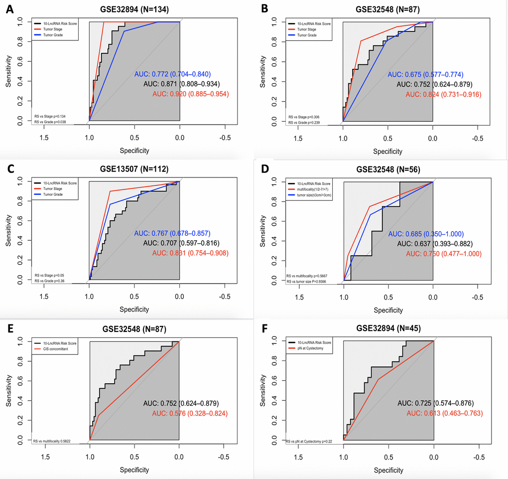 ROC curves showing the prognostic performance of the 10-lncRNA signature compared with that of different prognostic predictors. (A) Comparison of tumour stage and tumour grade in GSE32894. (B) Comparison of tumour stage and tumour grade in GSE32548. (C) Comparison of tumour stage and tumour grade in GSE13507. (D) Comparison of multifocality and tumour size in patients with NMIUC from GSE32548. (E) Compared with concomitant CIS in GSE32548. (F) Comparison with pN in patients with MIUC from GSE32894. NMIUC: non-muscle-invasive urothelial carcinoma; MIUC: muscle-invasive urothelial carcinoma.