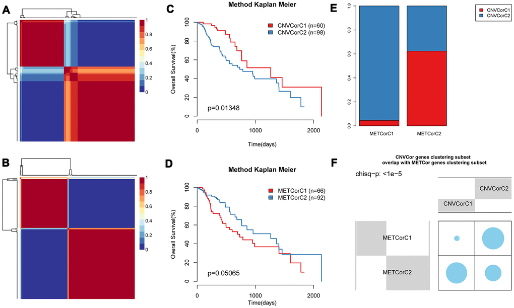 Identification of molecular subtypes of CNV-G and MET-G genes. NMF clustering results of (A) CNV-Gs and (B) MET-Gs were demonstrated, and survival proportions of (C) CNV-Gs and (D) MET-Gs were shown by Kaplan-Meier curves. (E, F) The overlapping between the subtypes of CNV-G clustering and the subtypes of MET-G clustering.