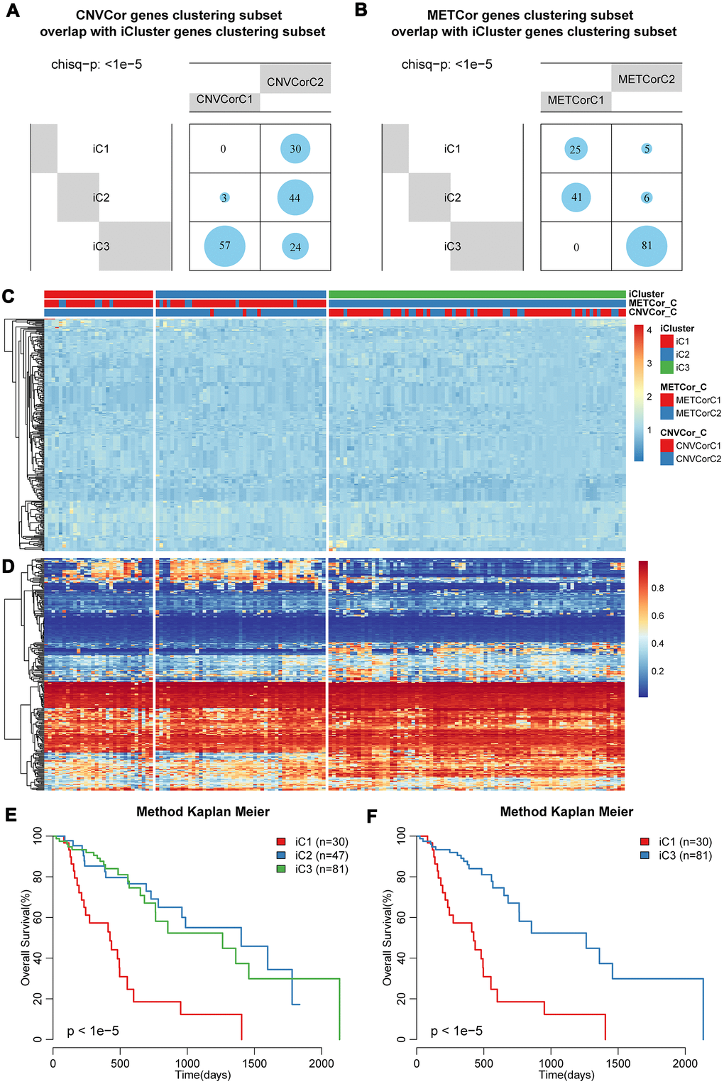 Identification of molecular subtypes based on multi-omics data. Overlapping of (A) CNV-G or (B) MET-G subtypes with iCluster subtypes. The landscape of (C) CNV and (D) methylation genes across all subtypes. Overall survival proportions for (E) each iCluster subtype or (F) between iC1 and iC3 subtype.