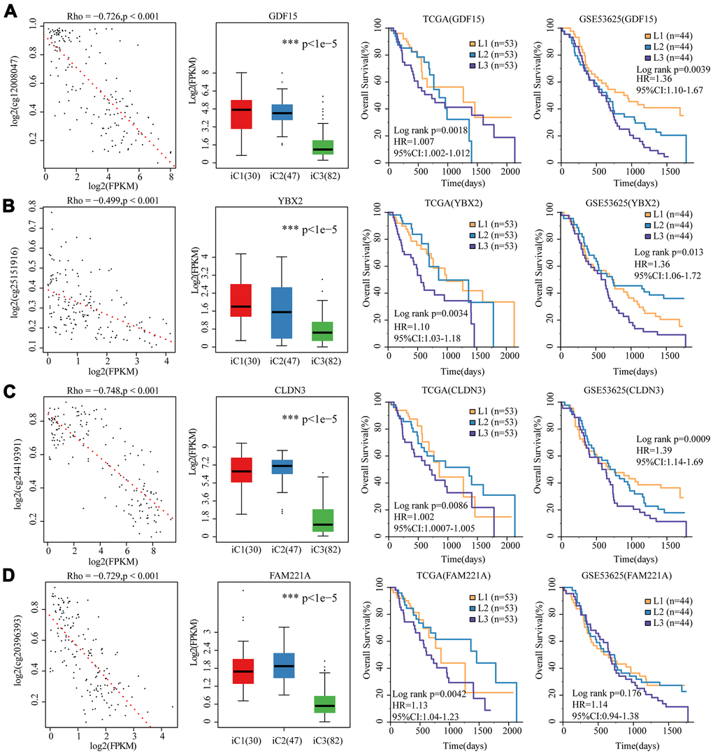 4 genes as potential biomarkers for the three molecular subtypes. The relationship between gene expression (horizontal) and methylation (vertical) levels (left panel), expression distribution in three iCluster subtypes (middle panel), and overall survival proportions in TCGA and GSE53625 data sets (right panel) were analyzed for (A) GDF15, (B) YBX2, (C) CLDN3 and (D) FAM221A.