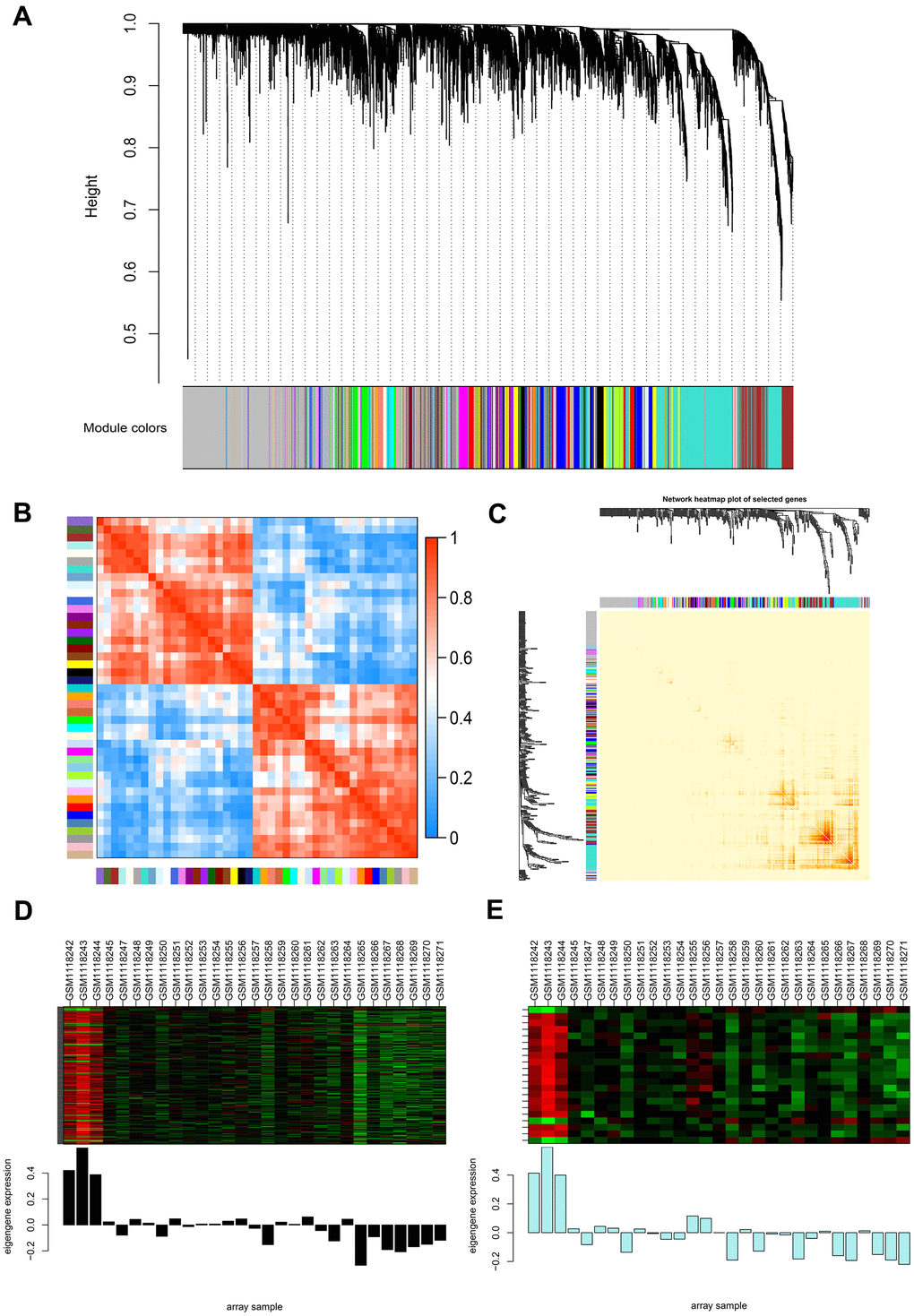 Weighted gene co-expression network analysis (WGCNA) of genes between the control and NOA groups. (A) Hierarchical cluster tree showing co-expression modules identified by WGCNA. The X-axis represents genes in different modules marked with different colors. (B) Heatmap plot of the adjacencies in the eigengene network. Each row and column in the heatmap correspond to one module eigengene (labeled by color). In the heatmap, the blue color represents low adjacency (negative correlation), while red represents high adjacency (positive correlation). Squares of red color along the diagonal are the meta-modules. (C) Heat map plot shows the topological overlap matrix (TOM) among 400 randomly selected genes. Light colors depict a small overlap, and the red color indicates a greater overlap. The left side and the top side show the gene dendrogram and module assignment. (D, E) Two modules with the highest relative rates were selected to localize the hub genes, they are separately colored with black (D) and pale turquoise (E). The Y-axis expressions were normalized by log2(TPM/10+1).