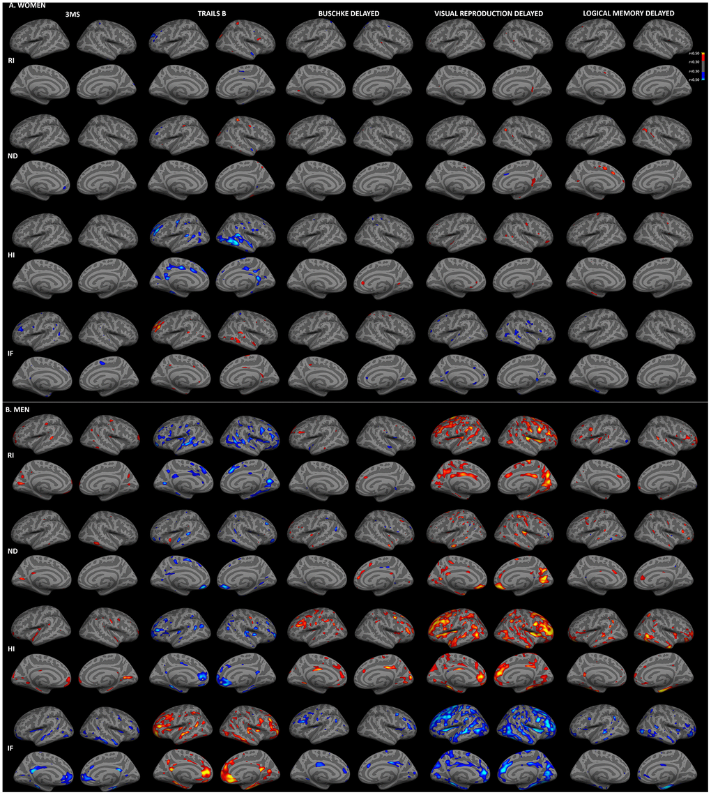 Sex-stratified associations between cortical gray matter microstructure and cognitive function, adjusted for age. Partial correlations between RSI metrics and cognitive test scores, adjusted for age and education, are shown for women (A) and men (B) (r>0.30). Figure conventions are the same as for Figure 1.