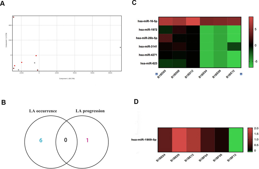 Microarray miRNA expression profiling of LA in whole blood. (A) PCA of samples shows a small difference among the three groups of subjects. Each symbol represents one subject, with red symbols indicating subjects with type I LA (n=3), orange indicating subjects with type II LA (n=3), and gray indicating subjects without LA (n=3). (B) Venn diagram of differentially expressed miRNA identified in the comparison of LA type I vs. Normal and in the comparison of LA type II vs. LA type I did not reveal genes common to onset-associated miRNA and progression-associated miRNA. (C) Heatmap of miRNA expression profiling showed six differentially expressed miRNAs identified in the comparison of LA type I (B1BE04, B1BE09, and B1BE12) vs. Normal (B1BD05, B1BD08, and B1BD12). The miRNAs were regarded as LA onset-associated miRNAs. (D) Heatmap of miRNA expression profiling showing a single, differentially expressed miRNA in the comparison between LA type II (B1BF04, B1BF08, and B1BF12) vs. LA type I (B1BE04, B1BE09, and B1BE12). This miRNA was designated as an LA progression-associated gene. Red indicates up-regulated expression levels of miRNA, and green indicates down-regulated miRNA expression.