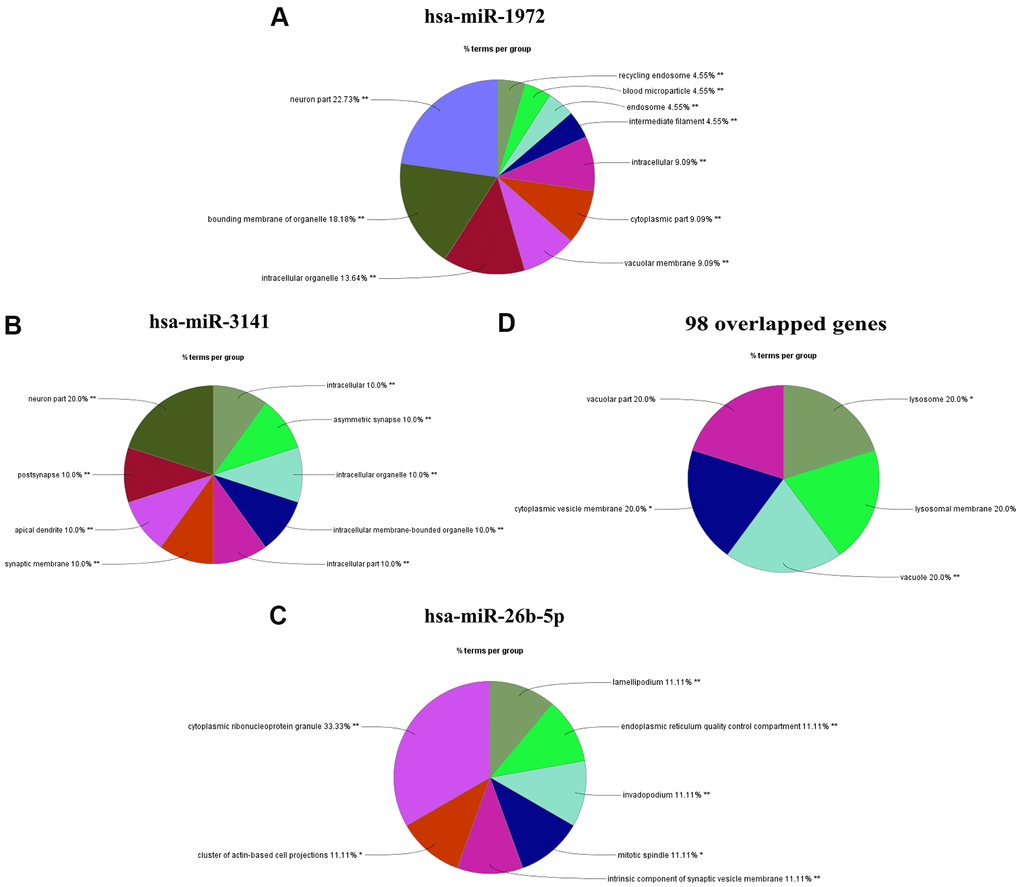 Functional enrichment analysis of miRNA targets using Cytoscape. (A–C) Cellular component enrichment analysis of the predictive targets of miR-1972(A), miR-3141(B) and miR-26b-5p (C). The putative targets of miRNA were predicted by TargetScan 7.1 software. The functional enrichment analysis was performed by the ClueGO tool in Cytoscape software. (D). The functional enrichment of the 98 shared genes, shown in Figure 3A. *P 