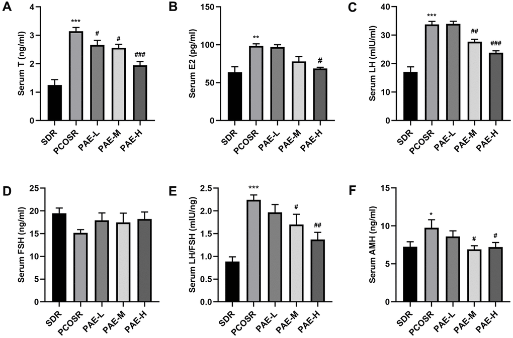 Influence of PAE on the reproductive hormone levels in PCOS rats (mean ± SEM, n=10 for each group). (A–D, F) The levels of serum T, E2, LH, FSH and AMH. *P P P P PPE) The ratio of LH to FSH. *P P P P PP