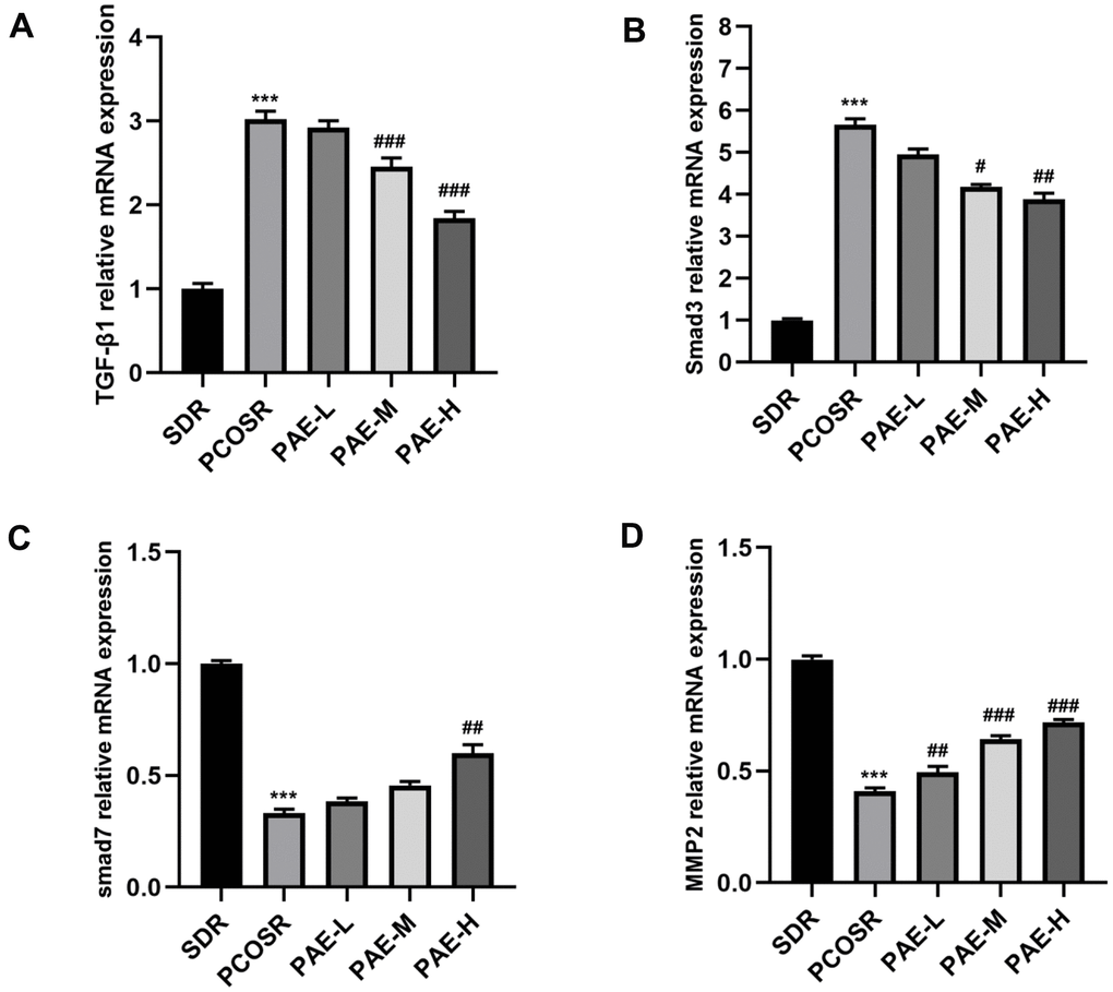 Influence of PAE on the activation of TGF-β1/Smads signaling pathway in PCOS rats was evaluated by qRT-PCR (mean ± SEM, n=10 for each group). (A, B) The mRNA levels of TGF-β1 and Smad3 in the ovarian tissues of PCOSR group were significantly higher than those in the SDR group (P P P P P PPC, D) The mRNA expression levels of Smad7 and MMP2 in the ovarian tissues of PCOSR group were significantly lower than those in the SDR group (P P P P P PP