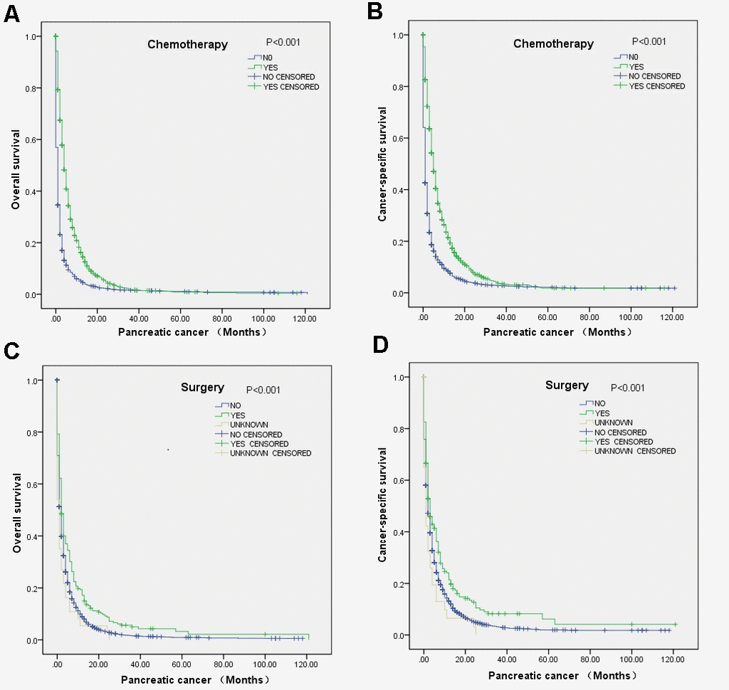 Survival curves of elderly mPC patients between 65 and 80 years old who received chemotherapy or surgery according to the log-rank test: (A) OS (PB) CCS (PC) OS (PD) CCS (P