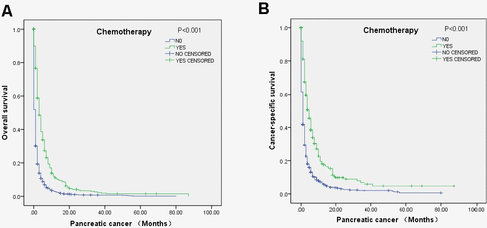 Survival curves of elderly mPC patients over 80 years old who received chemotherapy according to the log-rank test: (A) OS (pB) CSS (P