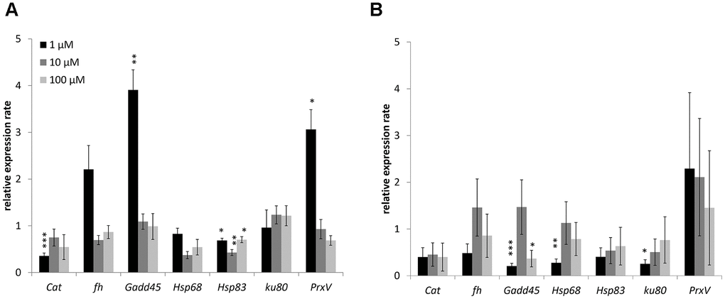 Changing of stress response genes expression in males (A) and females (B) of Drosophila melanogaster wild type Canton-S after WA treatment. Results were normalized to control. * p 