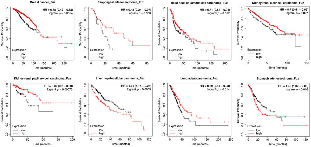 Evaluation of the prognostic significance of Fuz mRNA expression in different cancer types. Kaplan-Meier pan-cancer survival analysis was performed to evaluate the relationship between Fuz mRNA level and overall survival probabilities in 21 different types of cancer. Low level of Fuz expression was found associated with poor prognosis in BRCA, ESCA, HNSC, KIRC, KIRP and LUAD patients, whilst high level of Fuz expression was found associated with poor prognosis in LIHC and STAD patients.
