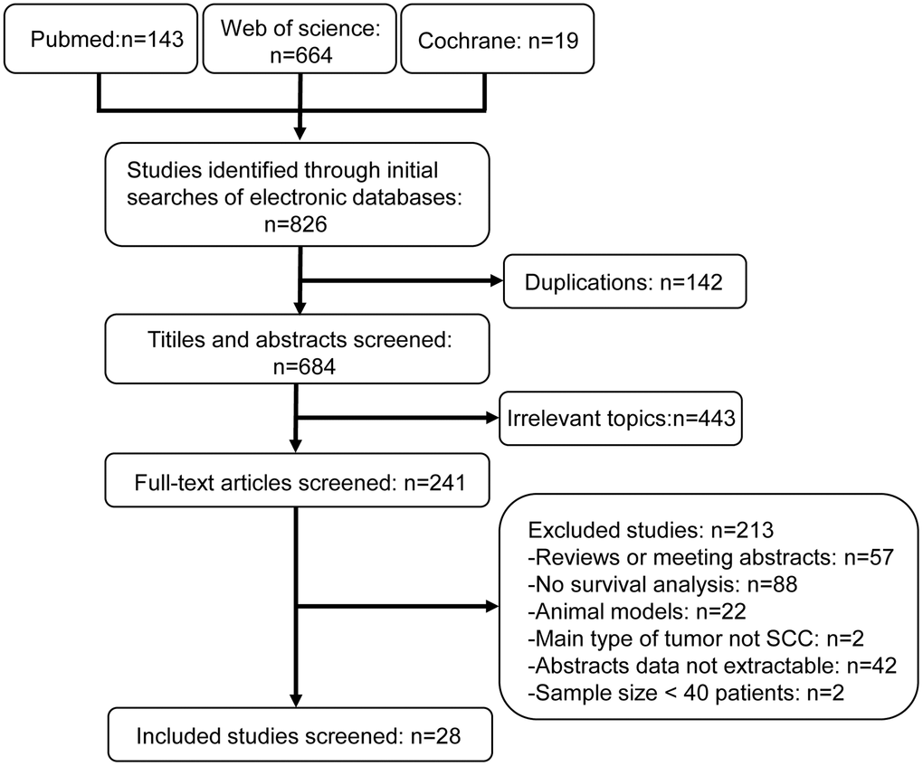 Flow diagram shows selection strategy of studies included in this meta-analysis.