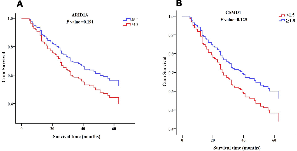 Survival patterns of ARID1A, CSMD1, and SENP3 expression in HCC tissues. (A) Survival pattern of ARID1A expression. P > 0.05. (B) Survival pattern of CSMD1 gene. P > 0.05.