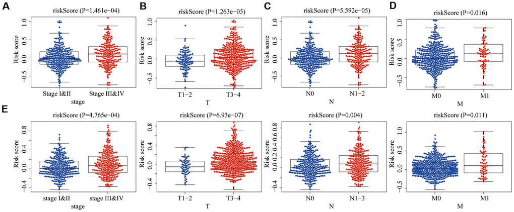 Relationships between risk score and clinicopathological traits. The aging risk score of (A) stage III & IV, (B) T3-4, (C) N1-3 and (D) M1 were significantly higher than that of stage I&II, T1-2, N0 and M0 in the training group (P E) The same conclusion was obtained in the testing group.