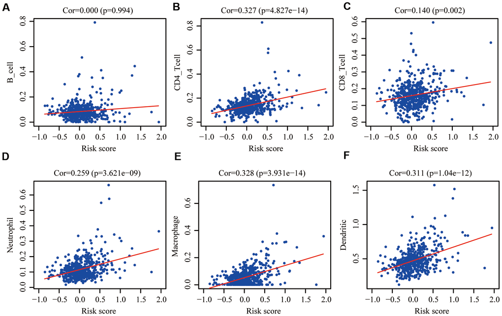 Pearson correlation analysis between the risk score and infiltration abundances of 6 types of immune cells in the training group. (A) B cells; (B) CD4+T cells; (C) CD8+T cells; (D) neutrophils; (E) macrophages and (F) dendritic cells. P 