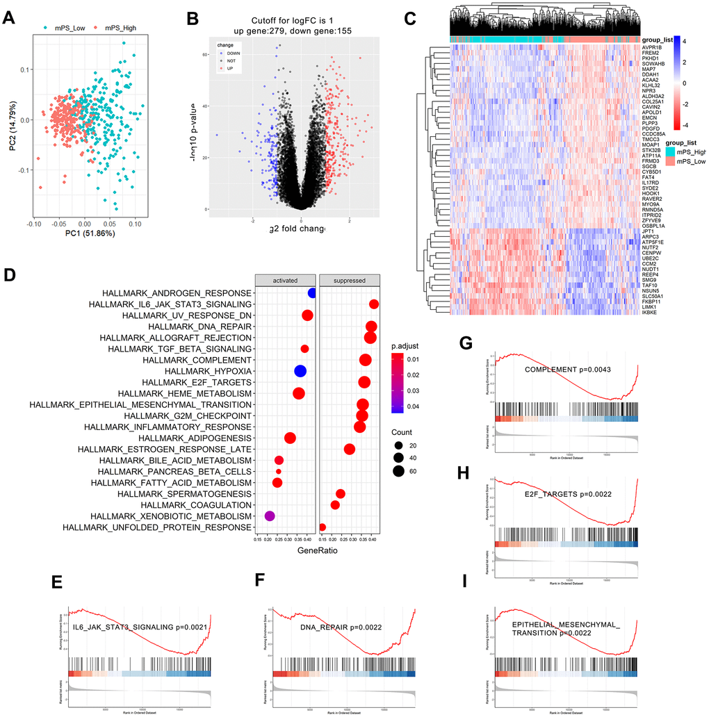 GSEA analysis results of differentially expressed genes between low- and high-mPS groups. (A) Principal component analysis result; (B) Volcano plot of the differentially expressed genes; (C) The heat map of the top 50 differentially expressed genes; (D) Significantly enriched activated and suppressed KEGG pathways. The vertical items are the names of KEGG terms, and the length of horizontal graph represents the gene ratio. The depth of the color represents the adjusted p-value. The area of circle in the graph means gene counts. (E–I) GSEA-based KEGG-enrichment plots of representative gene sets from activated and suppressed pathways: “IL6/JAK/STAT3 signaling” (E), “DNA repair” (F), “complement” (G), “E2F targets” (H), and “epithelial mesenchymal transition” (I).