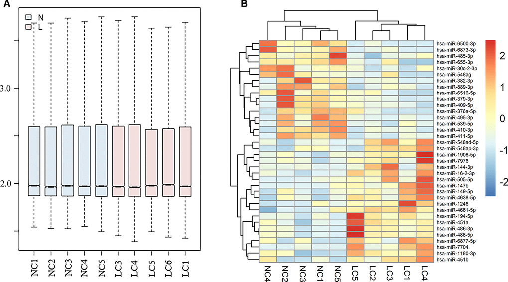 Differently expressed exosomal miRNAs in GSE111803. (A) Normalization of raw data in GSE111803. (B) The heat map of differently expressed exosomal miRNAs in GSE111803. (NC: negative control; LC: lung adenocarcinoma).