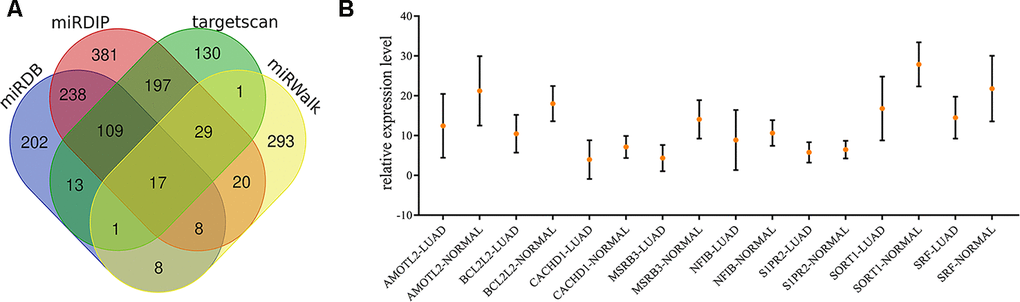 Identification of target genes of exosomal miR-149-5p. (A) Venn map of common target genes. (B) The expression profile of 8 target genes in TCGA-LUAD cohort.