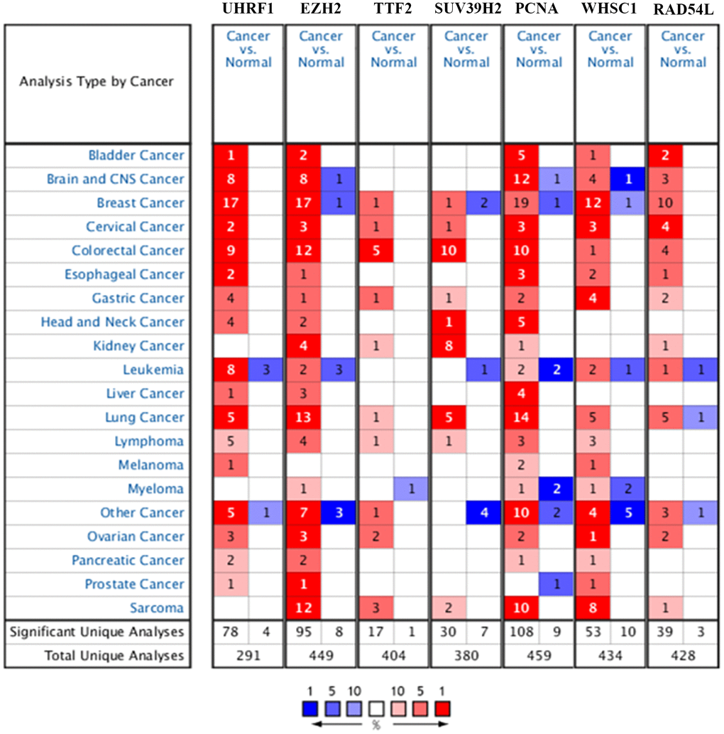 Epigenetic regulatory gene expression in different types of cancers. The expression levels of epigenetic regulatory genes in tumor and corresponding normal tissues from different cancer types in the Oncomine database. The differences between tumor tissues and corresponding normal tissues were compared using Student's t-test. Note: The cut-off values were p ≤ 0.01, fold change ≥ 2.0, and gene rank ≥ 10%. The mRNA levels of the seven epigenetic regulatory genes were higher in NSCLC tissues compared to the normal lung tissues.