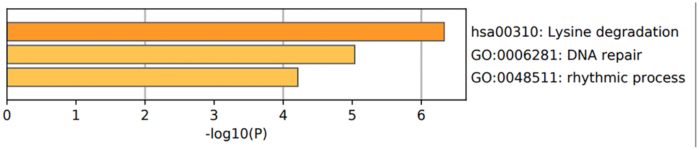 Functional enrichment analysis of epigenetic regulatory genes. The bar graph shows enriched GO terms and KEGG pathways related to the seven epigenetic regulatory genes. The p-values are shown according to the color scheme. The most enriched GO terms were DNA repair (GO:0006281) and rhythmic process (GO:0048511). The most enriched KEGG pathway was lysine degradation pathway.