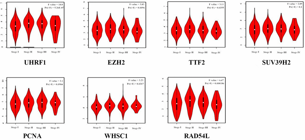 Correlation analysis between epigenetic regulatory gene expression and tumor stages of NSCLC patients from the GEPIA database. The expression levels of UHRF1, EZH2, TTF2, WHSC1 and RAD54L genes correlated significantly with the tumor stages of NSCLC patients. Note: P