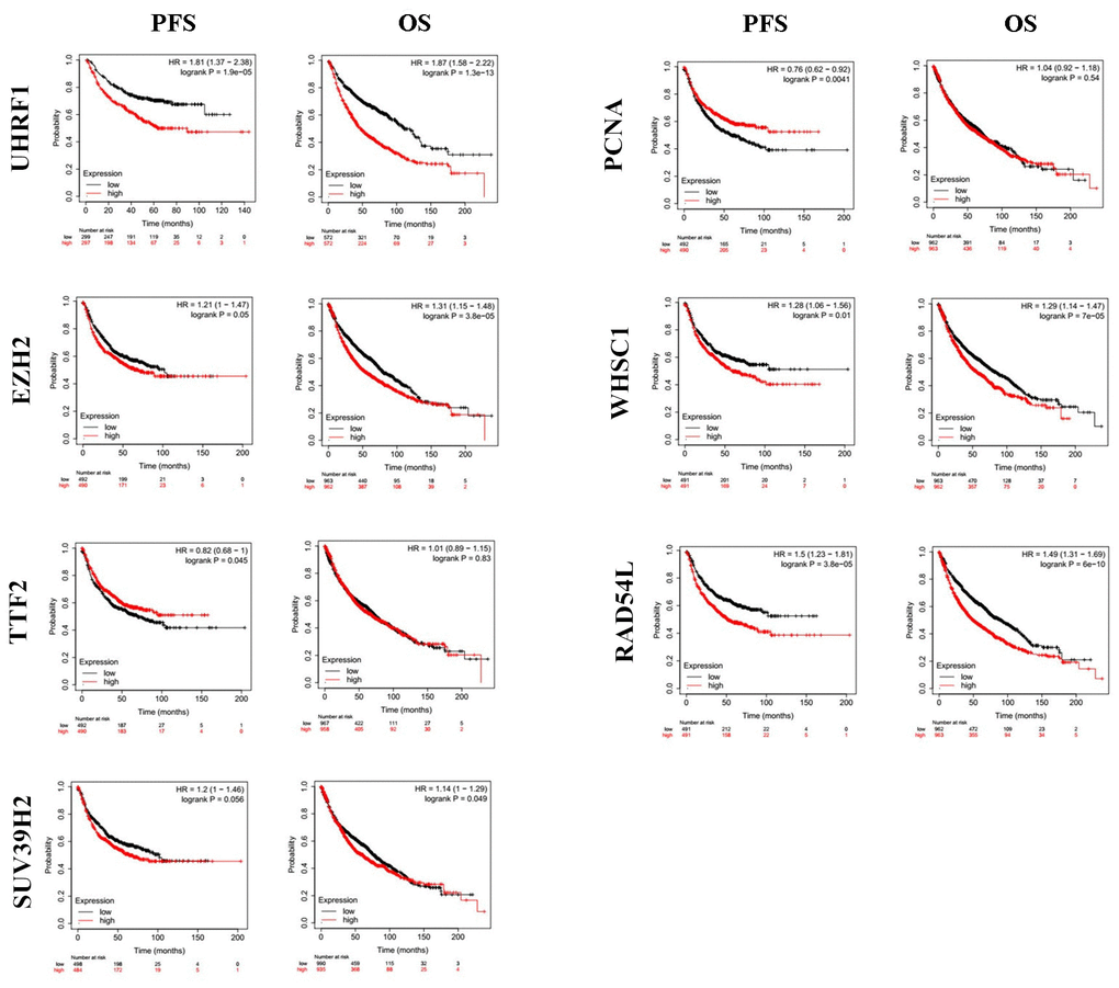 The prognostic value of epigenetic regulatory gene expression in NSCLC tissues. Kaplan-Meier survival curves and log-rank test shows that higher expression of UHRF1, EZH2, WHSC1 and RAD54L was significantly associated with worse progression-free survival (PFS) and overall survival (OS) of NSCLC patients.