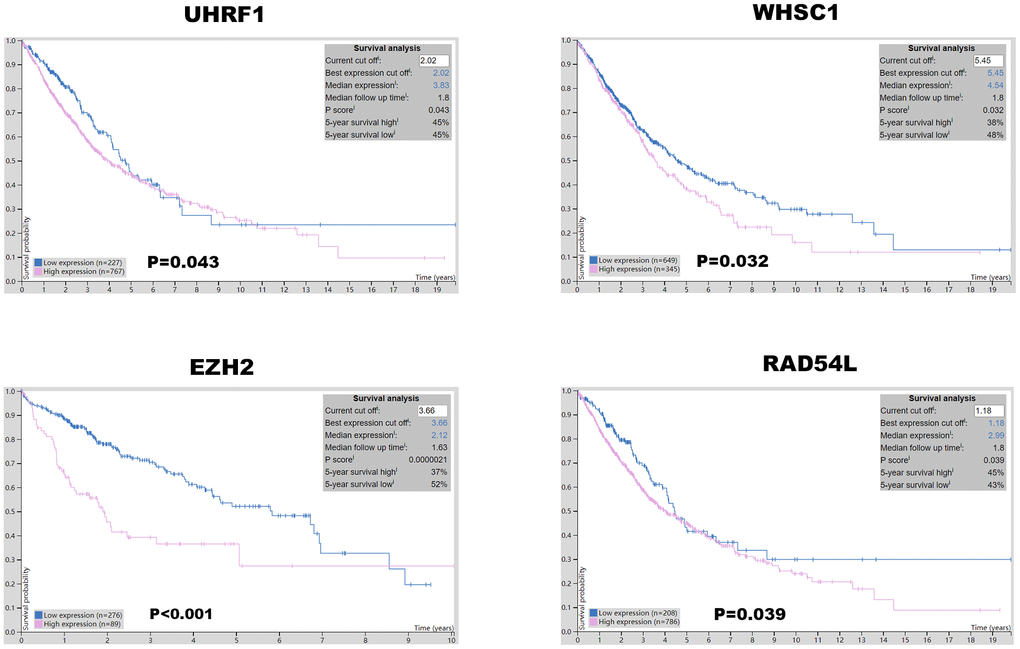 Prognostic value of UHRF, EZH2, WHSC1, and RAD54L protein expression levels in NSCLC. The Human Protein Atlas database analysis shows that the higher expression of UHRF1, EZH2, WHSC1 and RAD54L proteins was significantly associated with poorer prognosis of NSCLC patients.