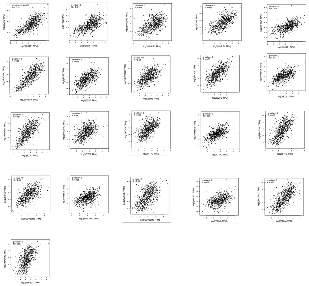 Correlation analysis between epigenetic regulatory gene expression in NSCLC samples. GEPIA database analysis shows positive correlation between different epigenetic regulatory genes.