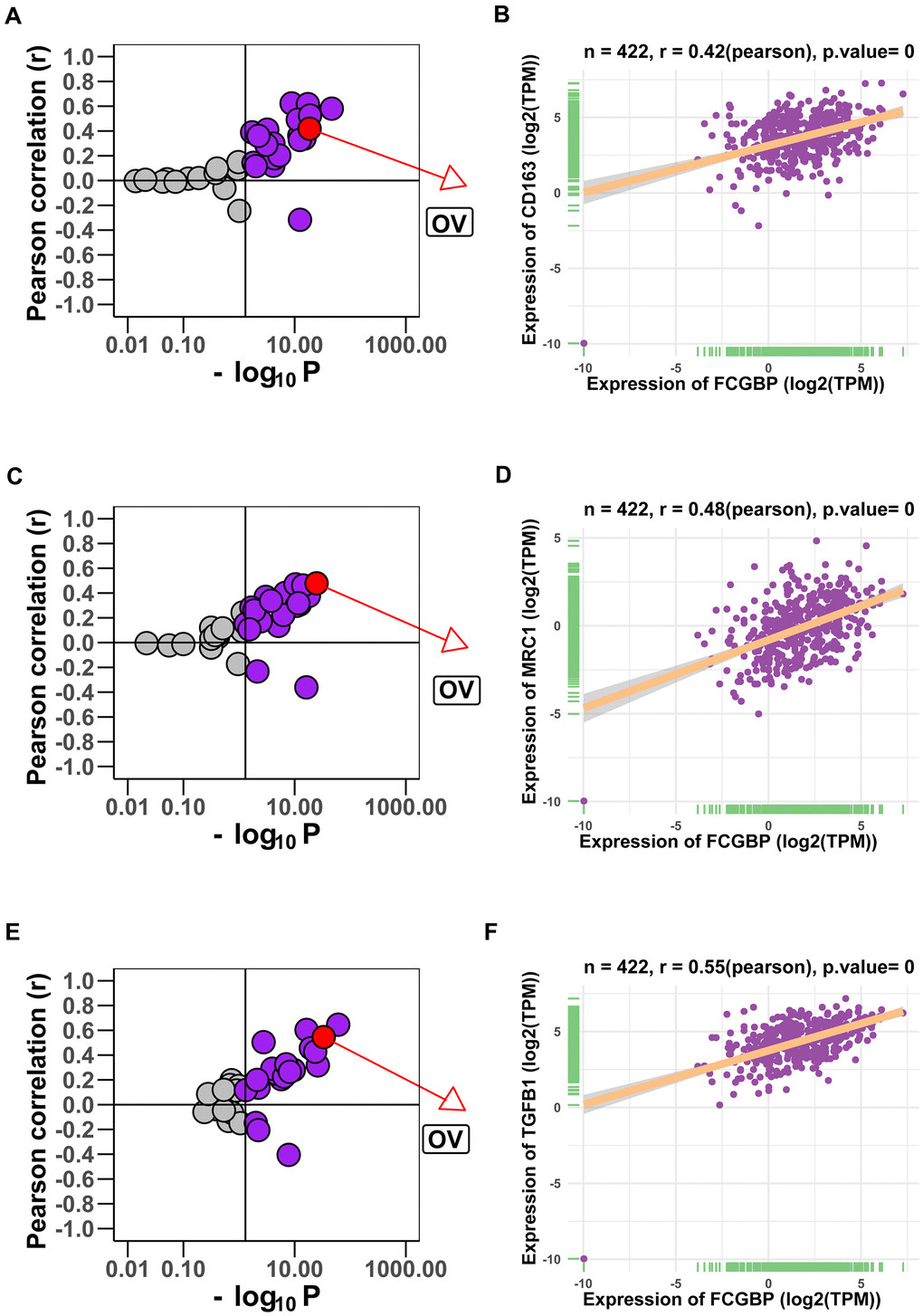 Correlation between FCGBP expression and gene markers of M2-like macrophages. (A, B) Correlation between FCGBP expression and CD163 in pan-cancer (A) and ovarian cancer (B). Each circle represents a type of cancer; purple circles represent meaningful correlations (Pearson p C, D) Correlation between FCGBP expression and MRC1 in pan-cancer (C) and ovarian cancer (D). (E, F) Correlation between FCGBP expression and TGFB1 in pan-cancer (E) and ovarian cancer (F).