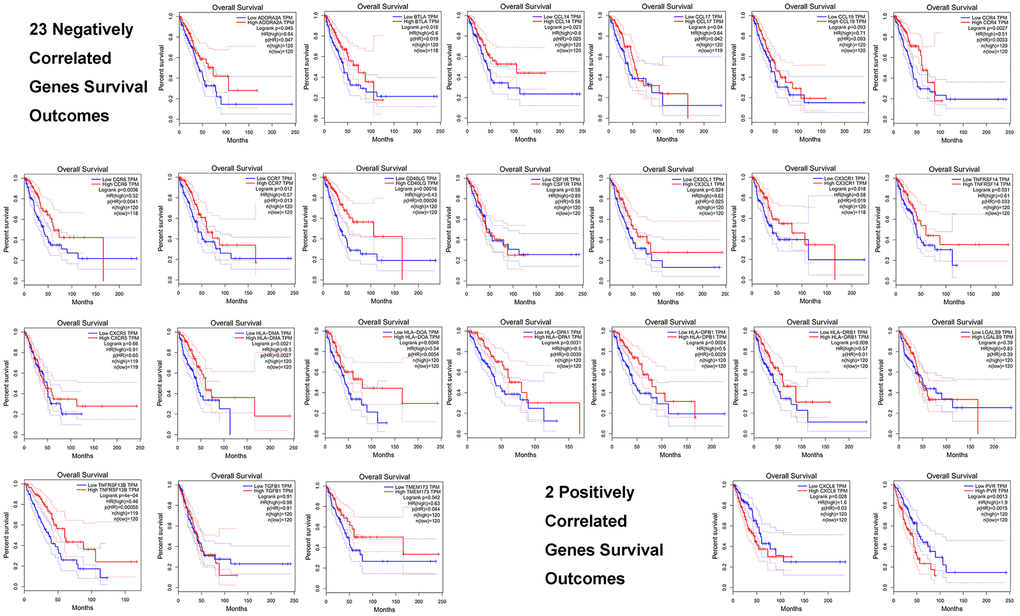 Prognosis of the top 25 immune genes correlated with GNPNAT1 in LUAD, including 23 negatively correlated genes and 2 positively correlated genes.