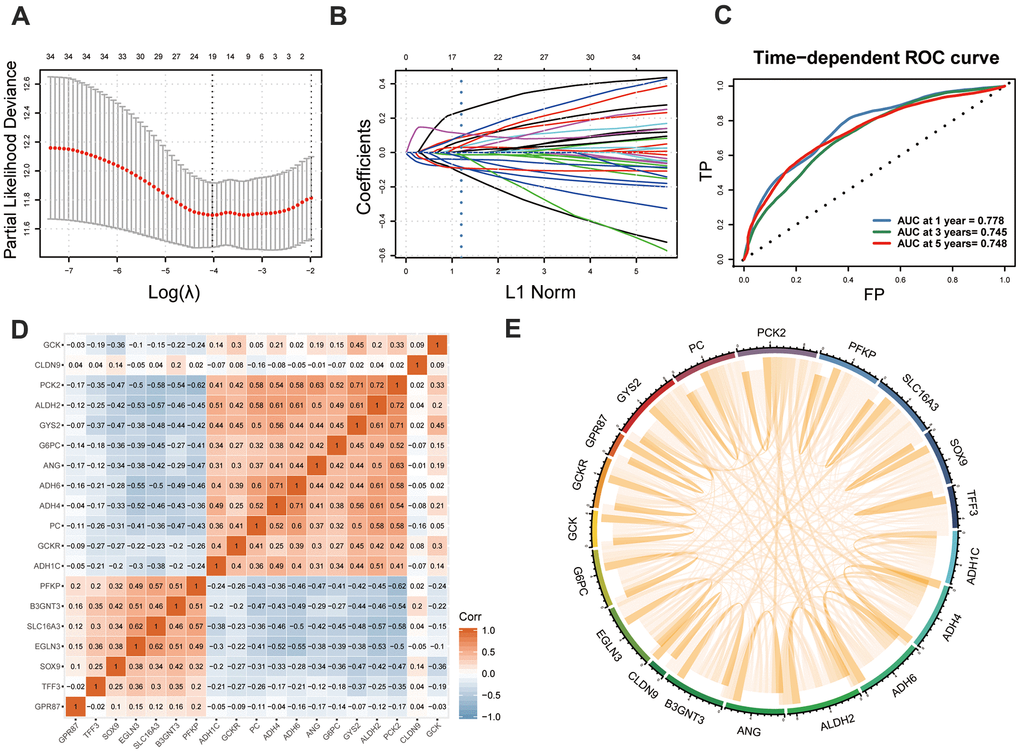 Development of GMPM. (A, B) LASSO regression analysis identified the 19 key MOG-DEGs in TCGA. (C) Time-dependent ROC curve analysis was performed to evaluate the diagnostic efficacy of GMPM. (D, E) The co-expression correlation between 19 key MOG-DEGs was showed. MOG-DEGs, multi-omics glycolysis-associated differentially expressed genes. ROC, receiver operating characteristic; GMPM, glycolysis-associated multi-omics prognostic model.