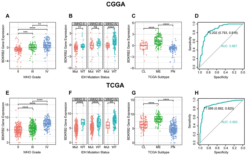 BDKRB2 expression in CGGA and TCGA dataset according to WHO grade (A, E), IDH mutation status (B, F), TCGA molecular subtype (C, G) and ROC curves (D, H) for distinguishing mesenchymal subtype. * indicates p value 