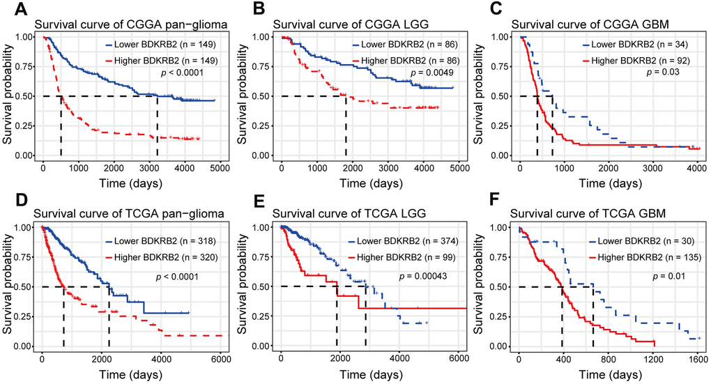 Survival analysis for BDKRB2 in pan-glioma (A, D), LGG (B, E) and GBM (C, F).