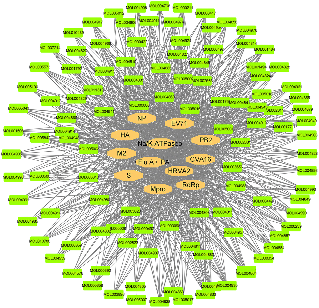 Compound and virus infection target network. The orange ellipses are the targets of the novel coronavirus. The green nodes represent the active compounds that can act on the targets of the novel coronavirus. The black line represents the relationship between the targets and the compounds.