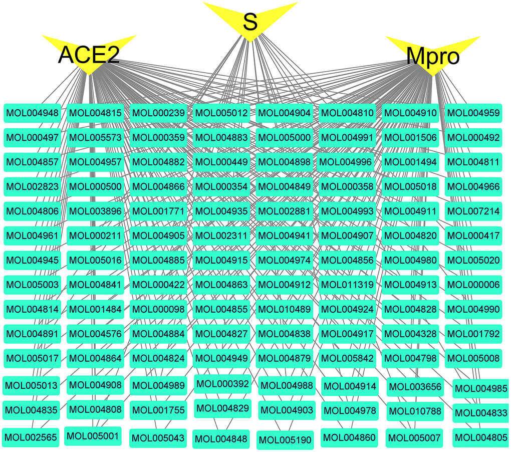 Active compounds-COVID-19 targets network. The green nodes are active compounds. The yellow nodes are key targets of the novel coronavirus. The black line represents the relationship between the targets and the compound.