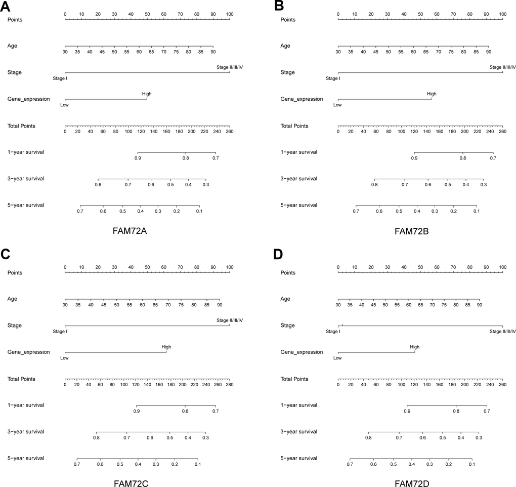 Nomogram for predicting the probability of 1-, 3- and 5-year OS for LUAD patients. (A–D) A nomogram that integrates FAM72A-D and other prognostic factors in LUAD from TCGA data.