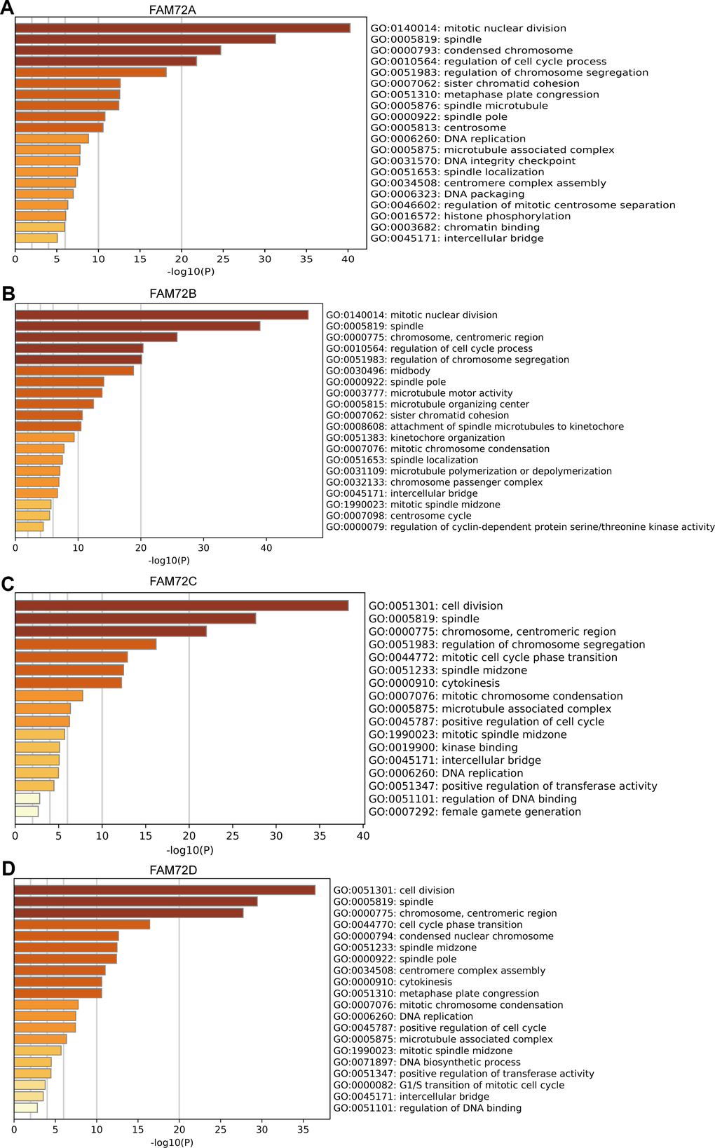 Functional enrichment of FAM72A-D in LUAD. (A–D) Gene ontology (GO) enrichment analysis of FAM72A-D and its co-expression genes in Metascape. The GO enriched terms are colored by p-value, where terms containing more genes tend to have more significant p-value.