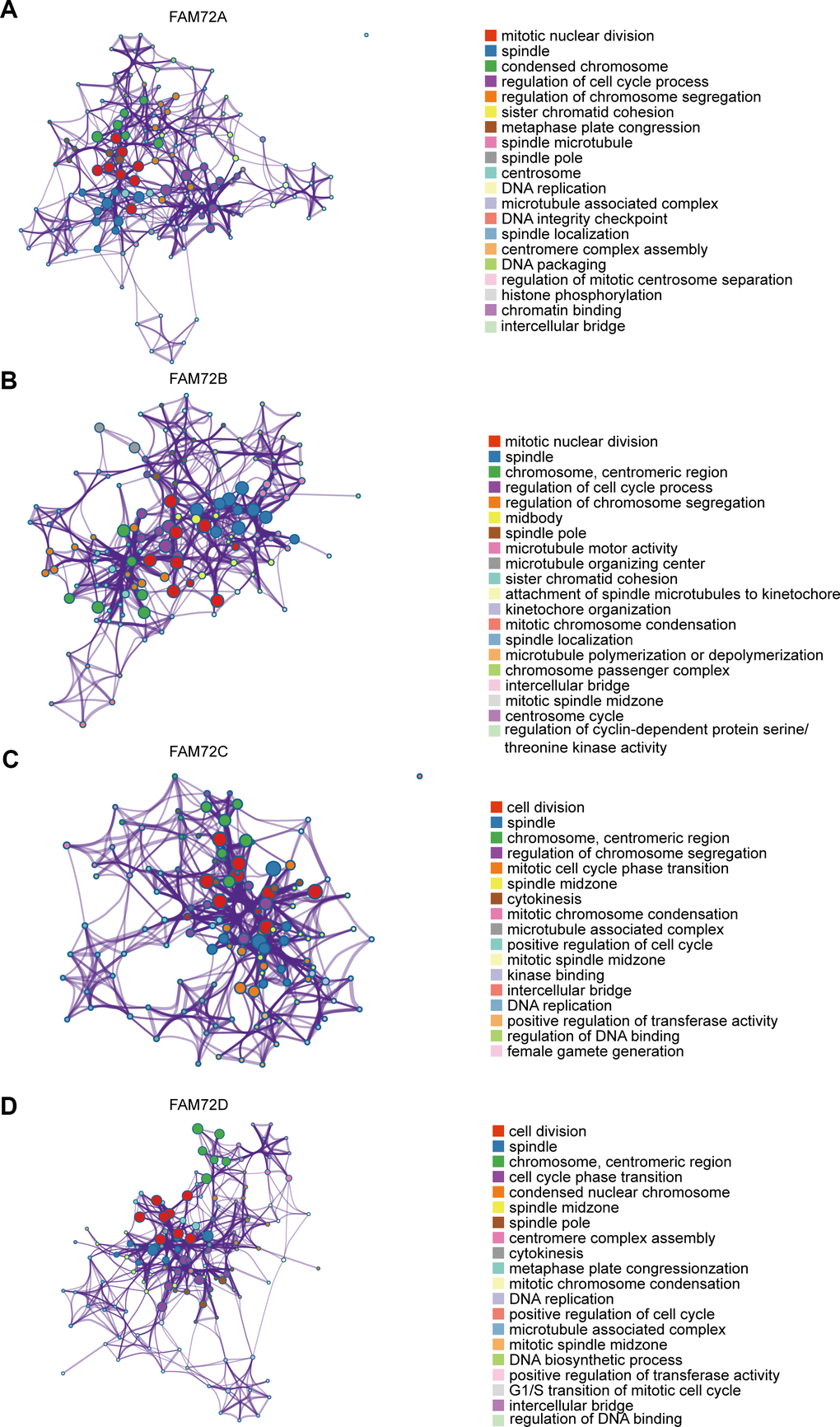 An interactive network of the top enrichment terms. (A–D) It is colored by cluster-ID. Distinct colors are various enrichment pathways of FAM72A-D correlated genes.