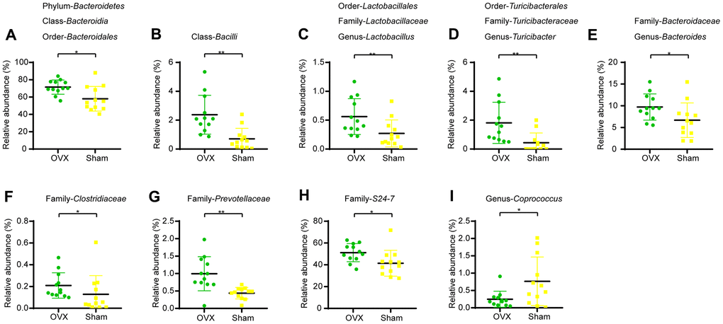 Differential microbial categories of the gut bacteria between OVX and Sham group mice. (A) Phylum-Bacteroidetes (t-test, PBacteroidia (t-test, PB) Class-Bacilli (t-test, PC) Order-Lactobacillales (t-test, PD) Order-Turicibacterales (t-test, PE) Family-Bacteroidaceae (t-test, PBacteroides (t-test, PF) Family-Clostridiaceae (t-test, PG) Family-Prevotellaceae (t-test, PH) Family-S24-7 (t-test, PI) Genus-Coprococcus (t-test, PP P 