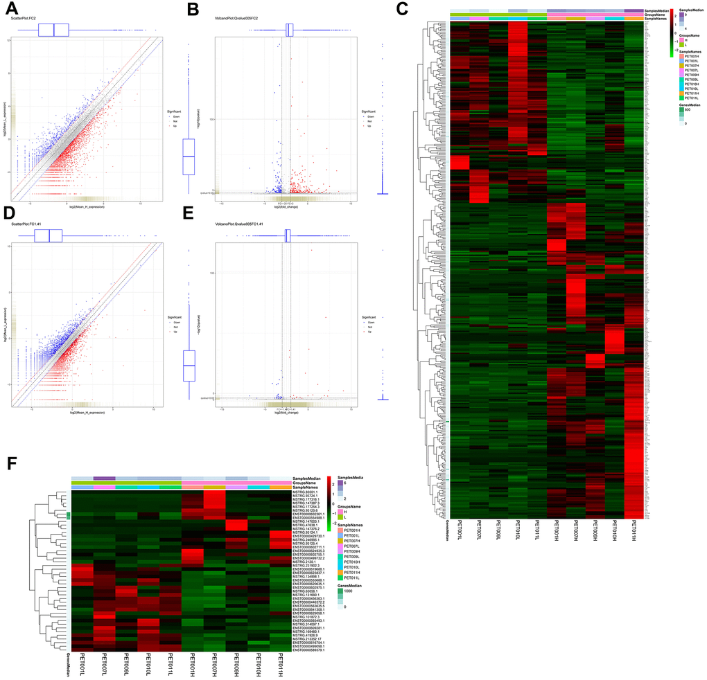 Identification and hierarchical clustering analysis of differentially expressed mRNAs and lncRNAs between lung tissue samples with high metabolic activity (PET-high) and lung tissue samples with low metabolic activity (PET-low). (A) scatter plot of mRNAs with |log2 fold change (FC) | > 1; (B) volcano plot of mRNAs with |log2FC | > 1 (FC > 2) and q value C) Hierarchical clustering heatmap of differentially expressed mRNAs; (D) scatter plot of lncRNAs with |log2 FC | > 0.5 (FC > 1.41); (E) volcano plot of lncRNAs with |log2 FC | > 0.5 and q value F) hierarchical clustering heatmap of differentially expressed lncRNAs.