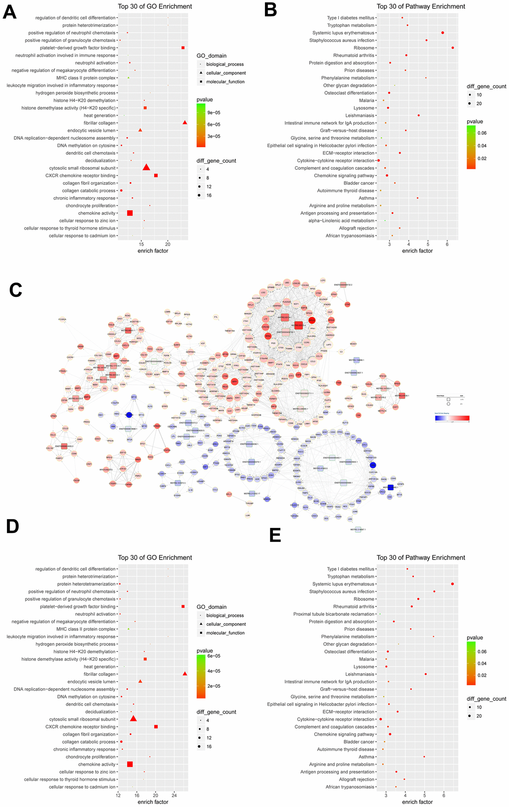 Functional analysis of differentially expressed mRNAs and lncRNA-mRNA co-expression network. (A) the top 30 Gene Ontology (GO) terms in biological process (BP), cellular component (CC), and molecular function (MF) categories for differentially expressed mRNAs; (B) the top 30 KEGG pathways enriched for differentially expressed mRNAs; (C) lncRNA-mRNA co-expression network constructed by co-expressed lncRNA-mRNA correlations; (D) the top 30 significant GO terms for differentially expressed mRNAs in lncRNA-mRNA co-expression network; (E) the top 30 significant KEGG pathways enriched for differentially expressed mRNAs in lncRNA-mRNA co-expression network; (C) lncRNA-mRNA co-expression network constructed by co-expressed lncRNA-mRNA correlations.