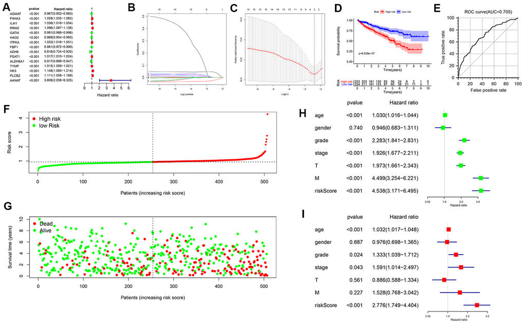Construction of a prognostic MRG signature based on TCGA-KIRC cohort. (A) Identification of 15 MRGs in significant association with OS by univariate Cox regression analysis. (B, C) Screening of candidate MRGs used for the construction of the predictive signature using LASSO regression analysis. (D) Survival curves of KIRC patients assigned to high-and low-risk groups based on individual risk scores derived from the prognostic signature. (E) ROC analysis demonstrating survival prediction accuracy. (F) Distribution of risk scores. (G) Survival status for KIRC patients in the high- and low-risk groups. Univariate (H, I) multivariate Cox regression analysis were used to verify that the metabolism-related prognostic signature represents an independent prognostic factor for KIRC patients.