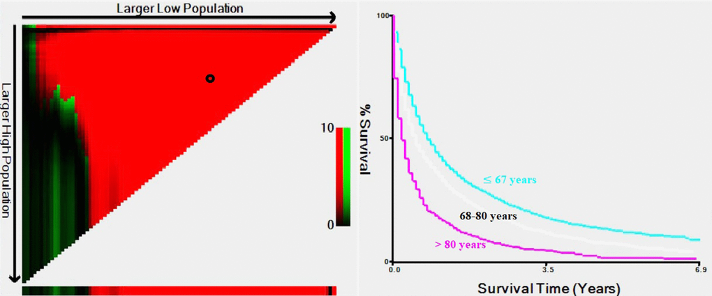 Estimation of the cutoff values for age stratification, as determined by X-tile software.