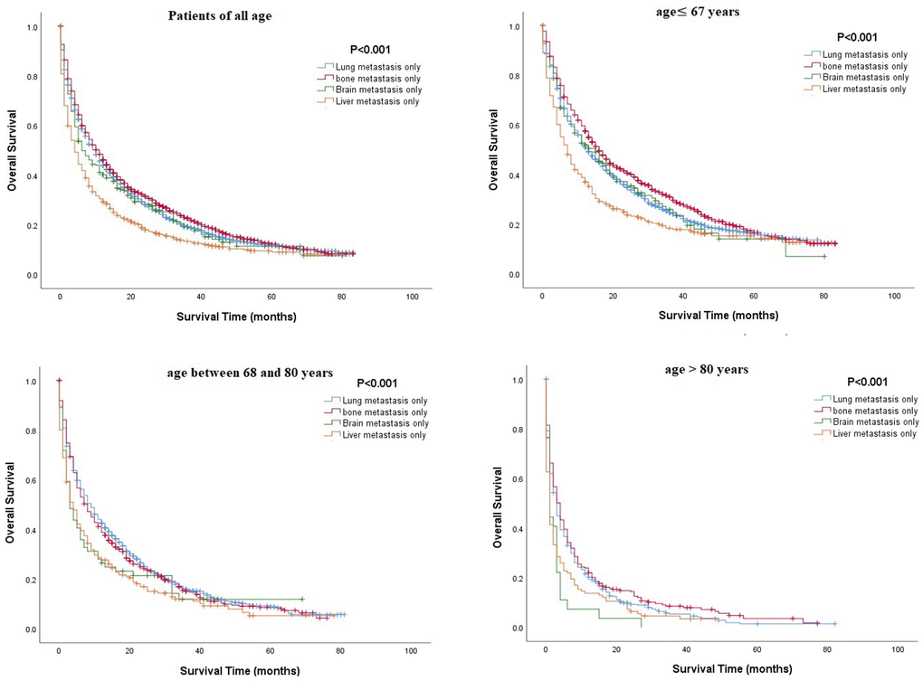 Comparison of overall survival rates among patients with renal cell carcinoma and a single metastatic site in different age groups.