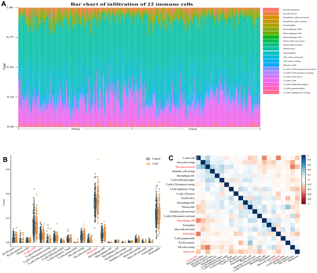 Evaluation and visualization of immune cell infiltration. (A) Immune cell types and ratios of CAD patients. (B) Boxplot diagram of the 22 types of immune cells. (C) Correlation heat map of 22 types of immune cells. The size of the colored squares represents the strength of the correlation; blue represents a positive correlation, red represents a negative correlation. The darker the color, the stronger the correlation.