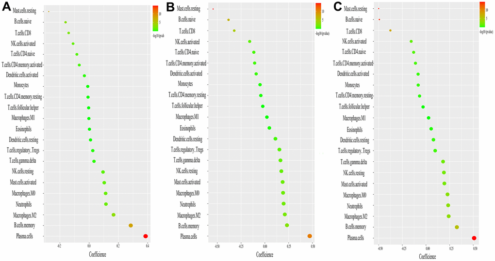 Correlation between ASCC2, LRRC8, SLC25A37, and infiltrating immune cells. (A) Correlation between ASC2 and infiltrating immune cells. (B) Correlation between LRRC18 and infiltrating immune cells. (C) Correlation between SLC25A37 and infiltrating immune cells. The size of the dots represents the strength of the correlation between genes and immune cells; the larger the dots, the stronger the correlation. The color of the dots represents the p-value, the greener the color, the lower the p-value. p 