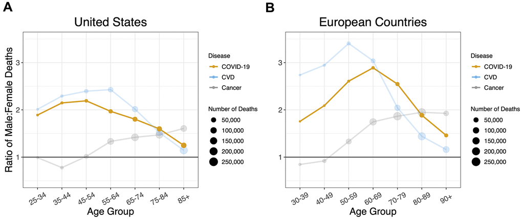 Sex ratios by age group in deaths for COVID-19, cardiovascular disease, and cancer in (A) the US and (B) the European Countries. A 1:1 ratio is indicated by black horizontal lines. Ratios are adjusted for sex distribution in the population at different age groups.